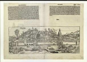 Ulm von Süden. Um 1493