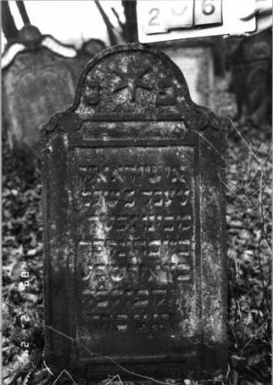 Grabstein 206 (Index: 99752083) Material: Sandstein Zustand: gut Maße HxBxT: 106x57x14 cm Beschreibung: Stele, eingezogener Rundbogenabschluß, rechteckiges Schriftfeld eingetieft Symbolik: Stern: Grabstein 206