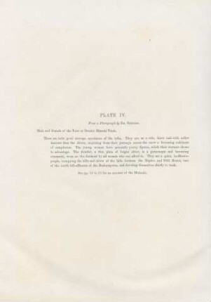 Plate IV.