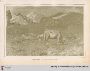 [Heft 24 (15. September 1896)]