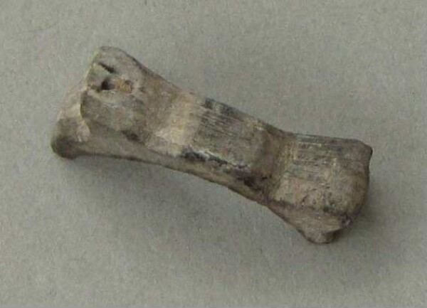 Fragment of a finger ring