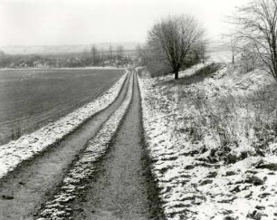 Winterlicher Ackerlandschaft
