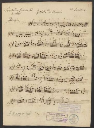Viola da braccio