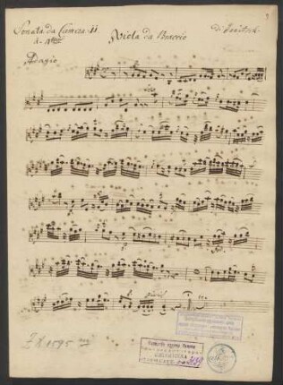 Viola da braccio