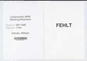 Entnazifizierung Wilhelm Schultz, geb. 14.02.1895 (Obersteuerinspektor)