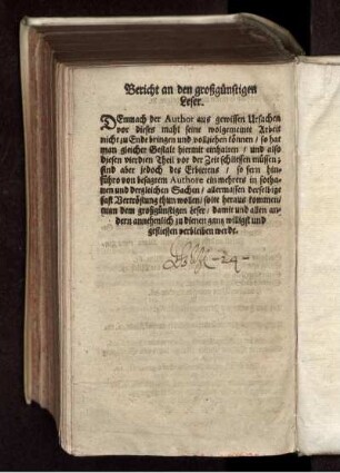Bericht an den großgünstigen Leser