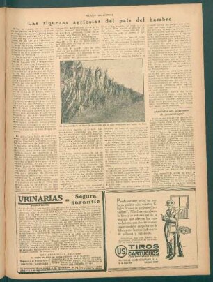 ¿Australia sin documento de paleontología?