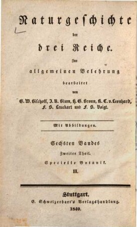 Lehrbuch der Botanik, 3,2. Specielle Botanik II