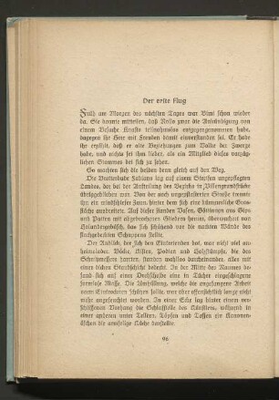 Der erste Flug