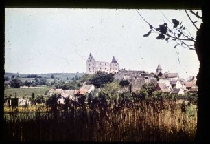 Schlossruine in Burkheim