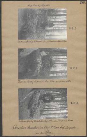 Gräber am Friedhof Rabenbühl: August Schneider 1. Komp. Arm. Bat. 64