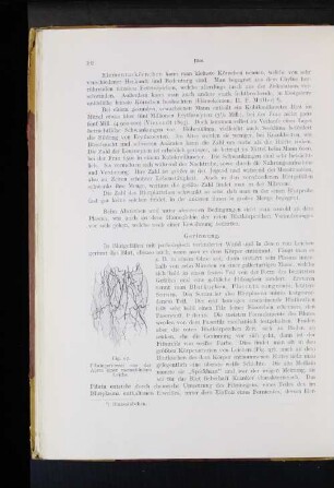 Gerinnung.
