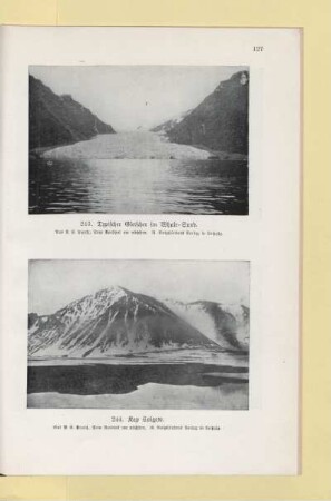 243. Typischer Gletscher im Whale - Sund