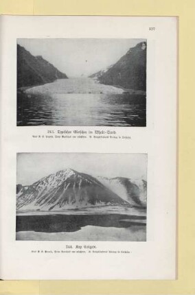 243. Typischer Gletscher im Whale - Sund