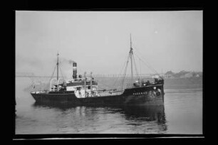 Phoebus (1910), Neptun.- Dampfschifffahrts-Gesellschaft „Neptun“, Neptun Linie, D.G. "Neptun", Bremen