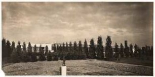 Maschinenfabrik Lindner, Berlin-Wittenau: Gartenansicht