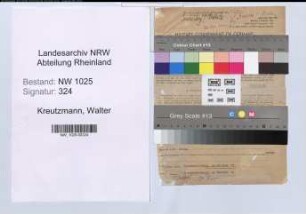 Entnazifizierung Walter Kreutzmann , geb. 07.08.1909 (Chemiker)