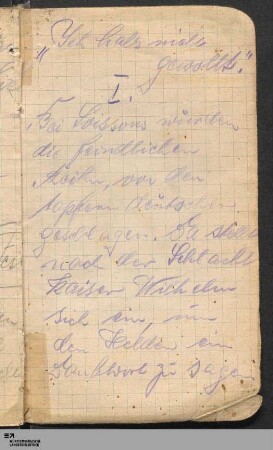 Gedicht "Ich habs nicht gewollt"
