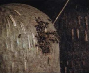 Heideimkerei - 5. Mitteleuropa, Nördliches Niedersachsen - Sommerarbeiten zur Zeit der Heideblüte in einer Korbimkerei