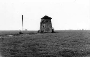 Dahlen-Börln. Turmholländer