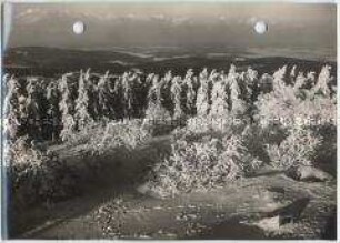 Winterlandschaft, Taunus