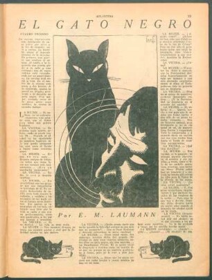 El gato negro