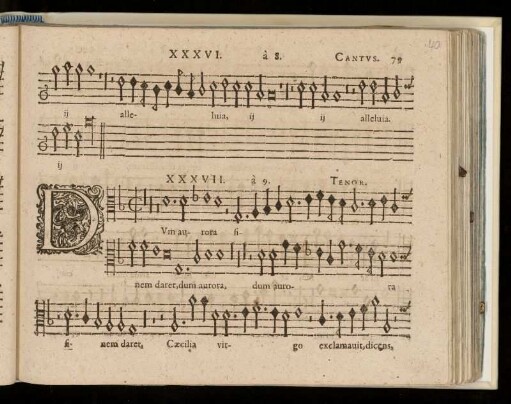 Novem vocvm.