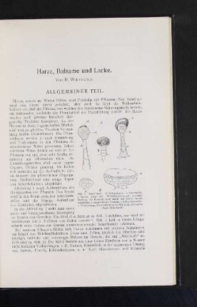 Harze, Balsame und Lacke. Von R. Wasicky.
