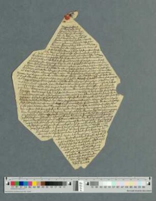 Brief (Fortsetzung) an Jenny von Laßberg in Meersburg, [Rüschhaus 01.07.1841]