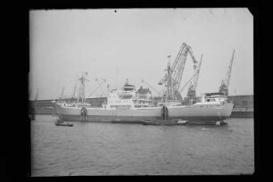 Steinhöft (1959), HMG, Hamburg