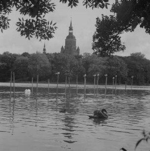 Stralsund. Blick über den Knieperteich zur Marienkirche