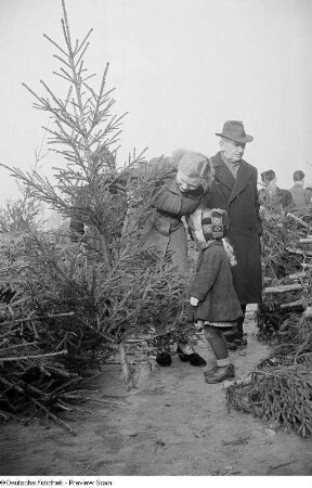 Besucher des Leipziger Weihnachtsmarktes begutachten Nadelbäume