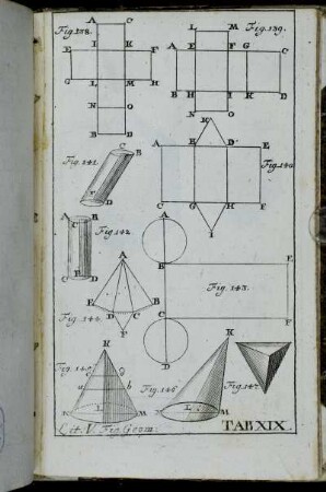 Fig. Geom. Tab. XIX.