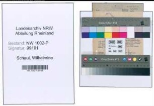 Entnazifizierung Wilhelmine Schaul , geb. 29.03.1891 ()