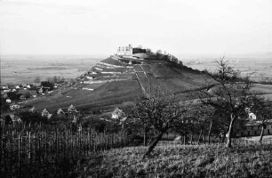 Staufen: Staufener Burg; Vordergrund Weinstöcke