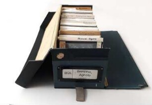 Kasten Nr. B 124, Agnolo Bronzini, geöffnet