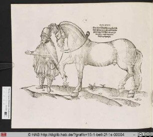 [Mann mit Pferd]