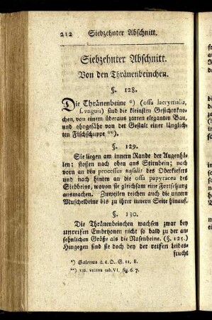 Siebzehnter Abschnitt. Von den Thränenbeinchen.