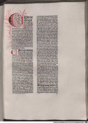Quaestiones super Sententias : Liber 3