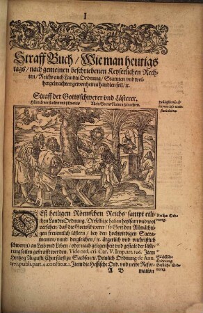 Straff Buch, Das ist: Gründtliche vnd rechte Vnderweysung wie heutiges tags, nach allen gemeinen beschriebnen ... Rechten, Reichs auch Lands Ordnungen, Statuten, Opinionen der Rechtsgelehrten, vnd wolhergebrachten Gewonheiten, etliche grobe eusserliche Sünde, Freuel vnd begangene Missethaten, Bürgerlich vnd peinlich zustraffen gepflogen werden : ... Mit angehengten Allegationibus vnd Rechtsgründen