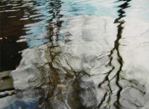 Baumspiegelung im Wasser