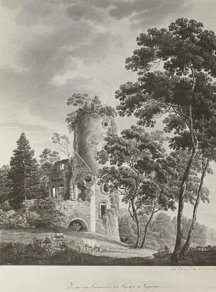 Ruinen von Frauenstein bey Freyberg im Erzgebirge