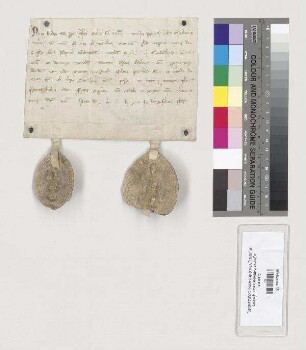 Abt Friedrich I. von St. Emmeram schenkt dem Obleiamt des Klosters einen neugepflanzten Weinberg (novellam) in Gundelshausen. S1=A. S2: Konvent von St. Emmeram