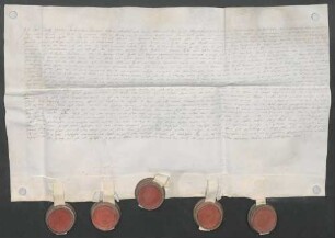 Instrumentum cautionis des Karl Franz Elzear von Wangen.