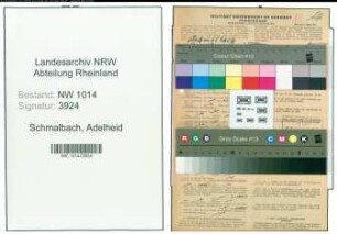 Entnazifizierung Adelheid Schmalbach , geb. 27.11.1880 (Gastwirtin)
