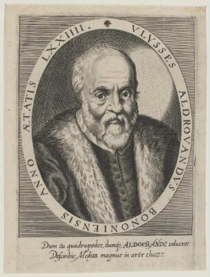 Bildnis des Vlysses Aldrovandvs