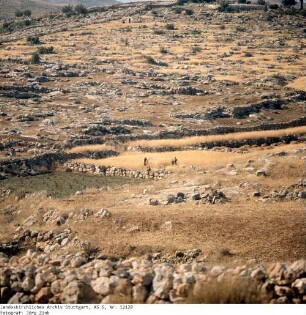 Israel: bei Bethlehem