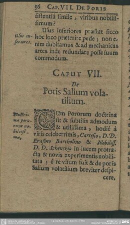 Caput VII. De Poris Salium volatilium