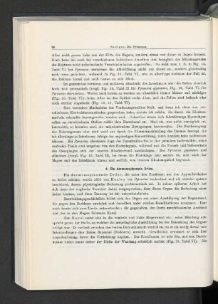 4. Die darmumspinennde Drüse.