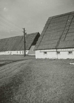 Hof Nr. 14, Hof Brauer